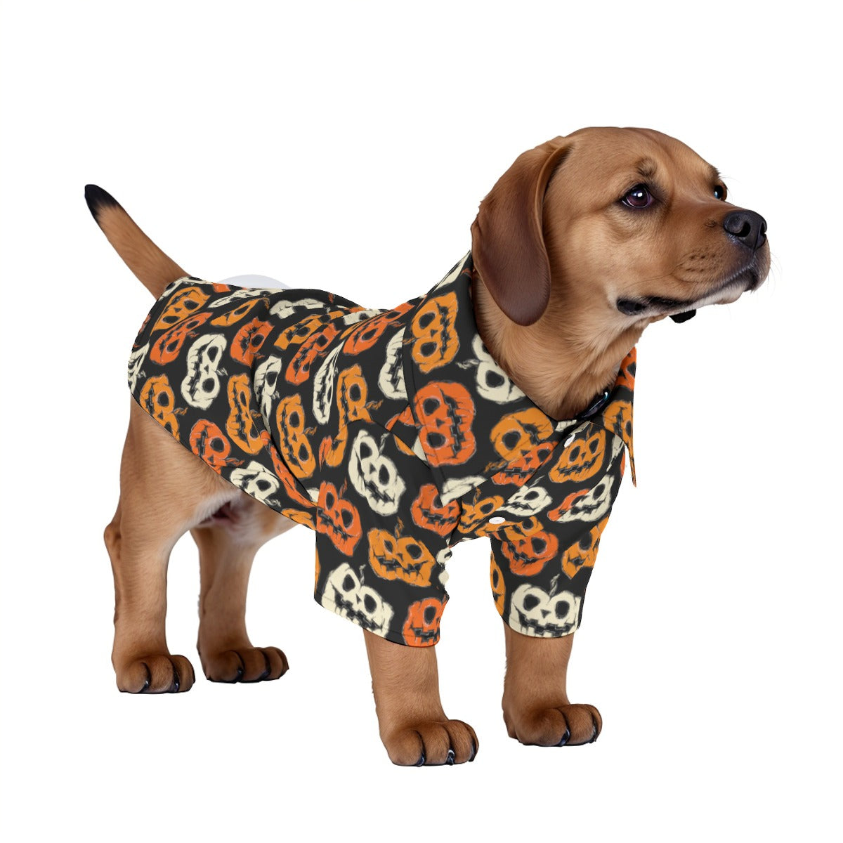 Counting Pumpkins