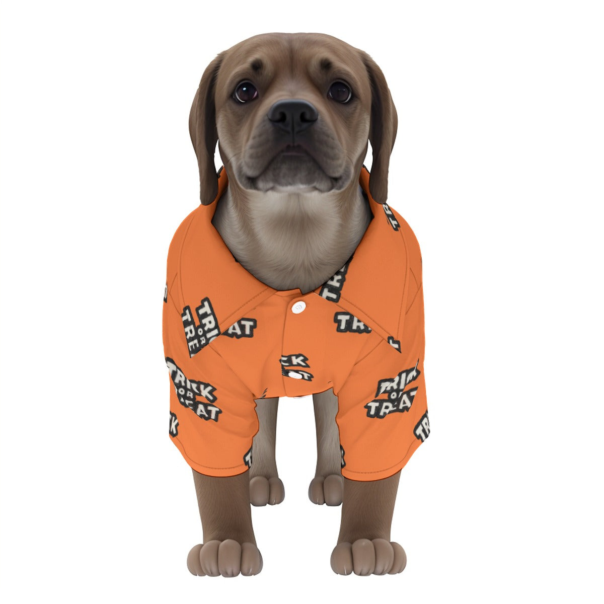 Pet Trick Or Treat In Your Sleep PJs