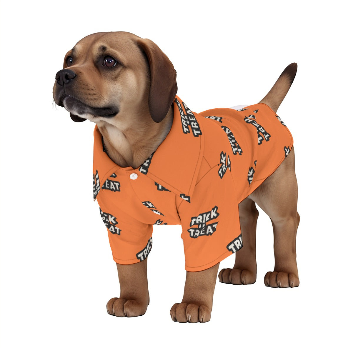 Pet Trick Or Treat In Your Sleep PJs