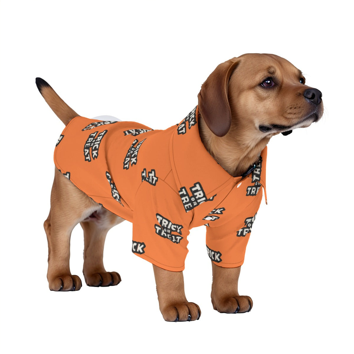 Pet Trick Or Treat In Your Sleep PJs