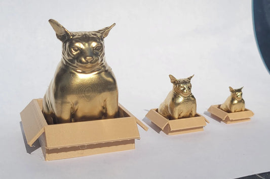 Golden Good Luck Chonky Sphynx Cat Sitting In A Box