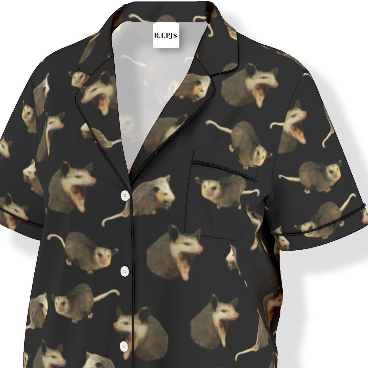 Opossum Aficionado [PC 6]