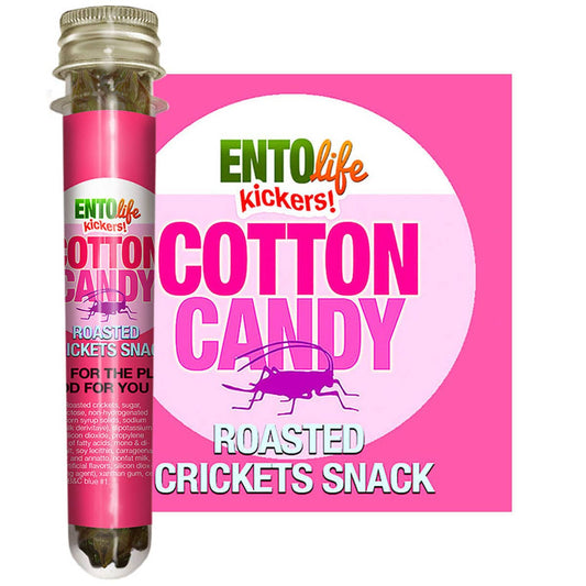 Cotton Candy Cricket Snacks